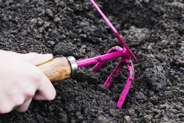 Gardening Tools in the hand on Soil Background. Spring Garden Wo - Zdjęcie, obraz