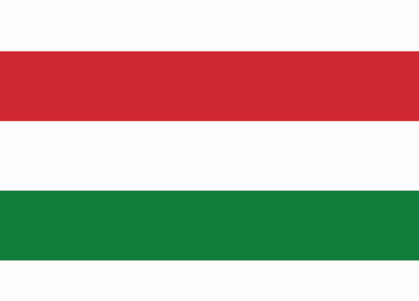 illustrazione vettoriale bandiera ungherese
 - Vettoriali, immagini