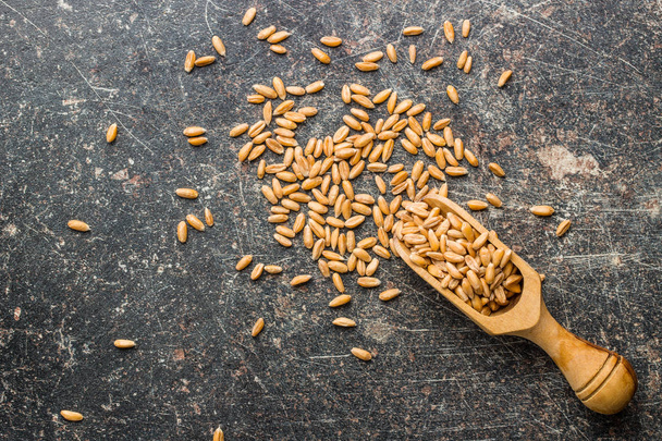 Healthy spelt grains. - Foto, Imagem
