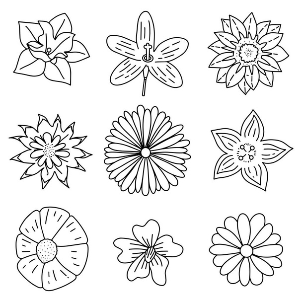 Flowers set. Collection of floral elements drawn by hand - Vector illustration EPS - Διάνυσμα, εικόνα