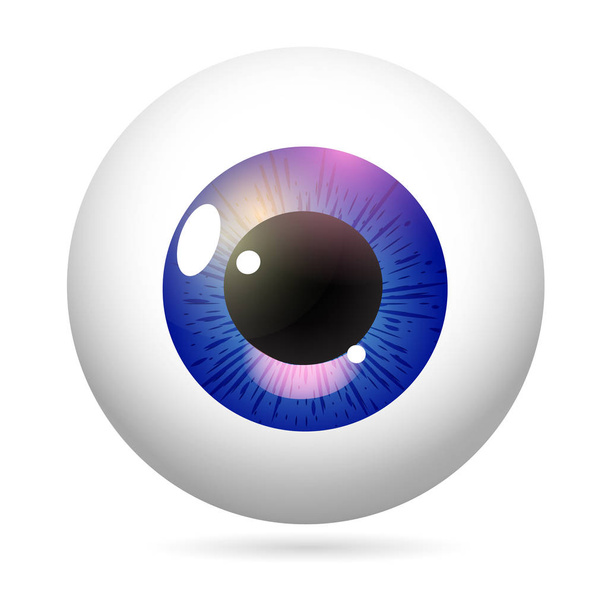 Vista frontal del ojo humano primer plano, córnea, retina, pupila. Iris púrpura. Diseño del icono del globo ocular aislado sobre fondo blanco. Ilustración vectorial realista
 - Vector, Imagen