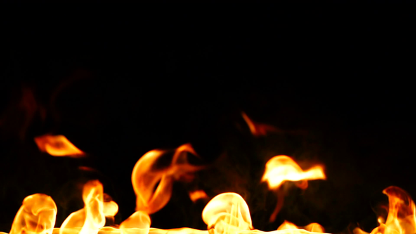 Ontsteken van rood vuur geïsoleerd op zwarte achtergrond. Gedetailleerde echte vlammen tongen. Halloween, hete brandende hel, Inferno concept. Slow Motion - Video