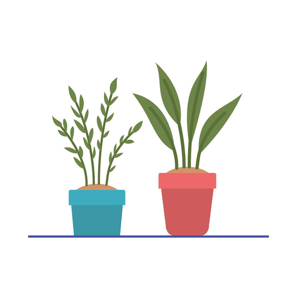 houseplant with potted isolated icon - Vector, Image