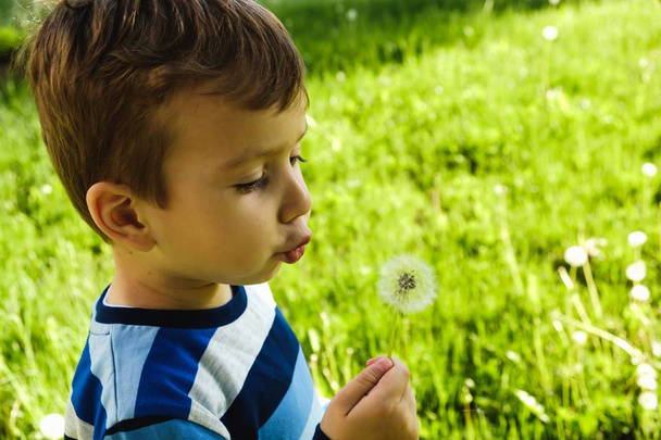 dandelion nature child little cute. fun. - Foto, Imagen