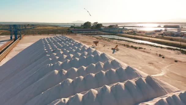 Letecký pohled na průmyslovou těžbu soli v poušti, hromada soli. - Záběry, video