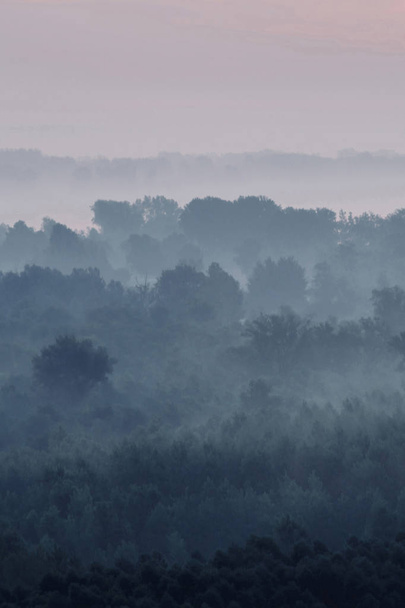 Містичний вид на ліс під вогнем рано вранці. Жахливий туман серед шарів з деревних силуетів у тайзі під небом. Атмосферний мінімалістичний пейзаж величної природи в блакитних тонах
 - Фото, зображення