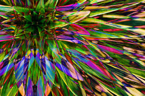 Галлюциногенный флуоресцентный фон растений сюрреалистических цветов. Абстрактная иллюзия на тему алкоголя и наркотиков. Психоделический тропический эффект каннабиса или алкоголя. Эффект ЛСД. Конопля
. - Фото, изображение