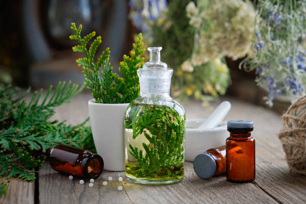 Bottles of homeopathic globules, Thuja infusion, Thuja occidentalis plant and mortar.  - Foto, immagini