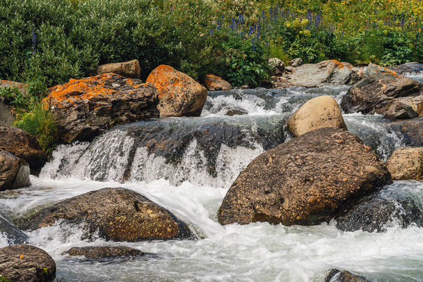 Big boulders in mountain creek close-up. Rapids of river with copy space. Fast water stream along beautiful vegetation. Fast flow near wet stones. Background of clean waves. Rich flora of highlands. - Foto, Imagem