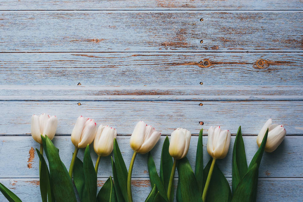 Bílé tulipány na dřevěném modrém pozadí. Ploché položení, horní pohled na kompozici s kopírovacím prostorem - Fotografie, Obrázek