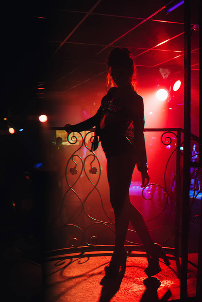 silhouette of girl dancer go-go posing in nightclub - Фото, зображення