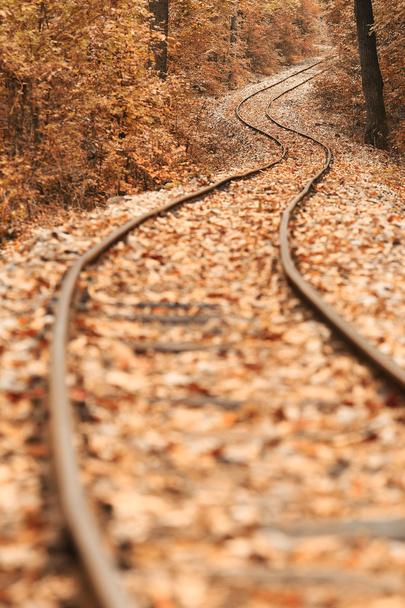 Bahnstrecke im Herbst - Foto, Bild