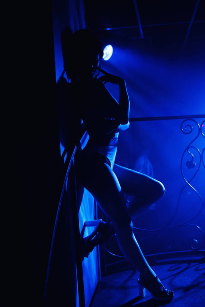 girl go-go dancer posing in a nightclub on stage - Photo, Image