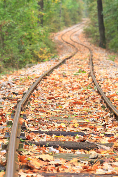 La vía del tren en otoño
 - Foto, Imagen