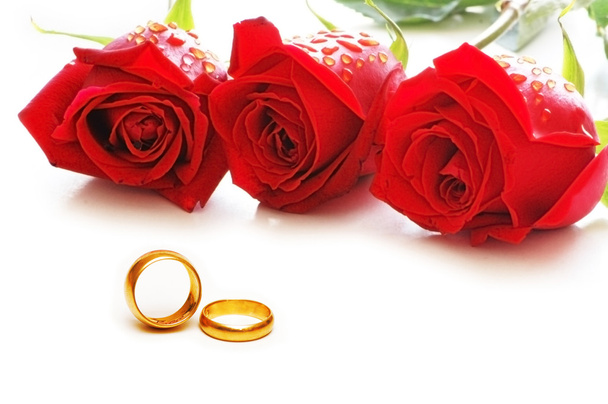 τρία τα τριαντάφυλλα και τα δαχτυλίδια που έχουν απομονωθεί - Φωτογραφία, εικόνα