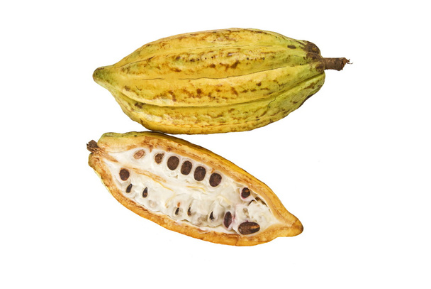kakaové plody izolované proti Bílému pozadí. - Fotografie, Obrázek