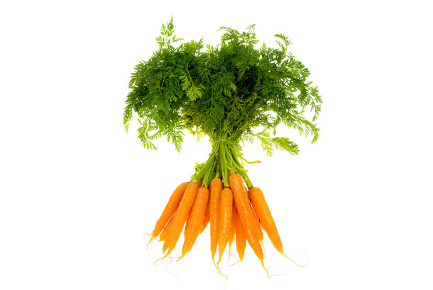 Zanahoria vegetal con hojas aisladas sobre fondo blanco recorte - Foto, imagen