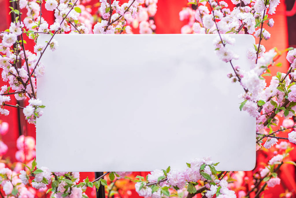 Paper blank between flowering almond branches in blossom. Pink f - Foto, imagen