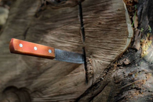 cuchillo con mango de madera, atascado en un trozo de tronco
 - Foto, Imagen