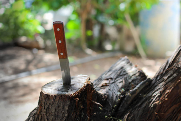 μαχαίρι με ξύλινη λαβή, κολλημένο σε ένα κομμάτι πορτ-μπαγκάζ - Φωτογραφία, εικόνα