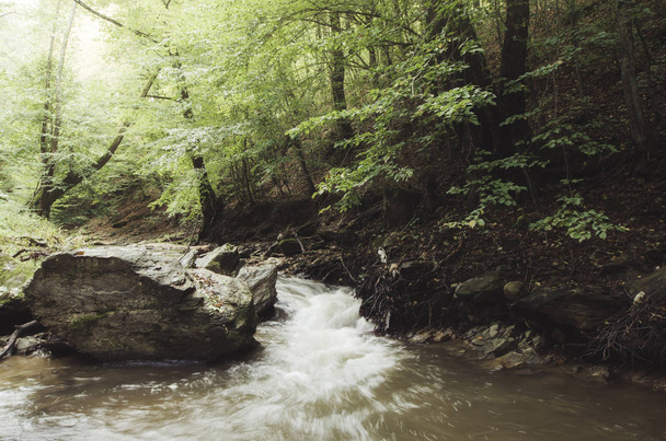 Дикий пейзаж. Вода в лісовій річці природні пейзажі
 - Фото, зображення