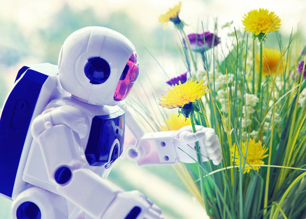 Toy robot holding a yellow dandelion. - Foto, immagini