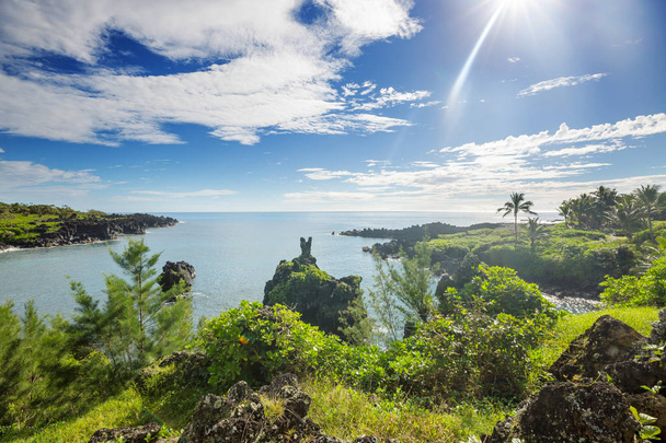 Lindas paisagens tropicais na ilha Maui, Havaí - Foto, Imagem