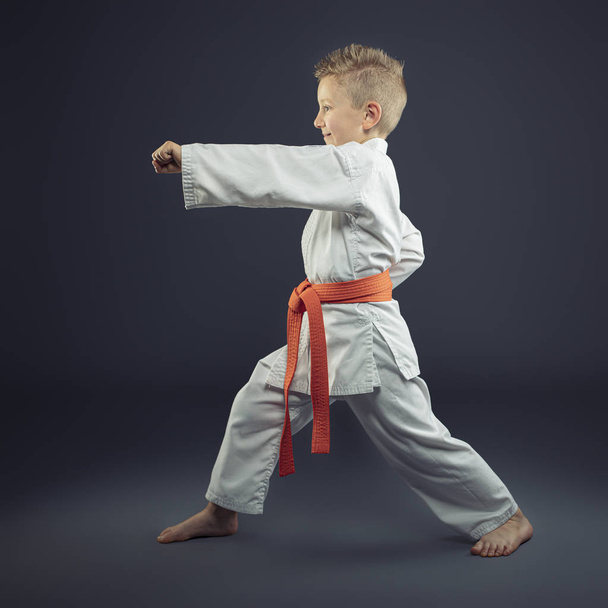 portrait of a child with a kimono practicing karate - Foto, afbeelding