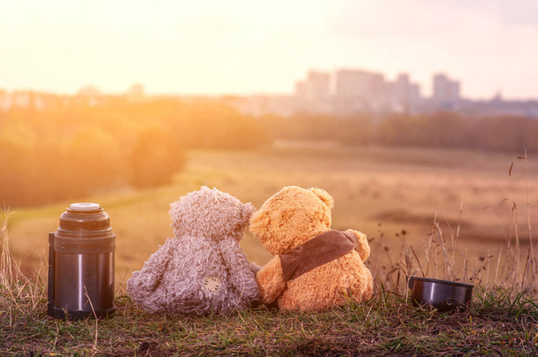 couple of teddy bears sits back on fallen autumn leaves on top o - Photo, Image