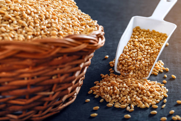 Indian wheat grains and wheat flour - Foto, imagen