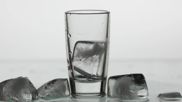 飲み物のグラスにウォッカを注ぐ。スローモーション。白い背景 - 映像、動画