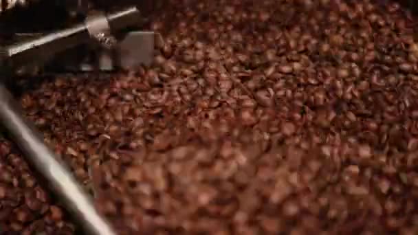 The big iron wheel is turning around and mixing brown roasted coffee beans in a large steel container. Coffee making machine is working. Close-up. - Video, Çekim