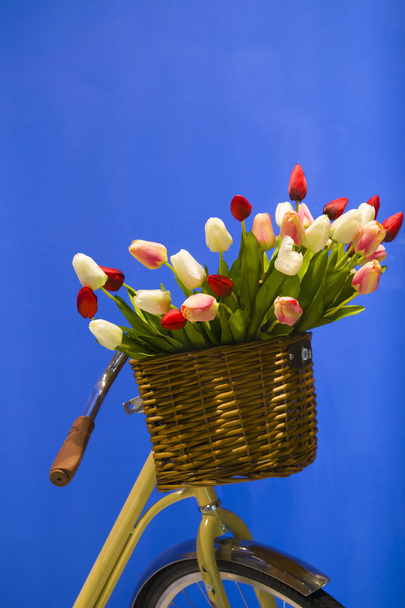 Grand panier en osier avec des tulipes fraîches colorées debout sur le volant d'un vélo jaune isolé sur bleu ciel
 - Photo, image