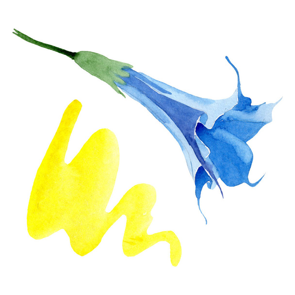 ブルーブルグマンシア花の植物の花。水彩画の背景セット。孤立したブルグマンシアイラスト要素. - 写真・画像