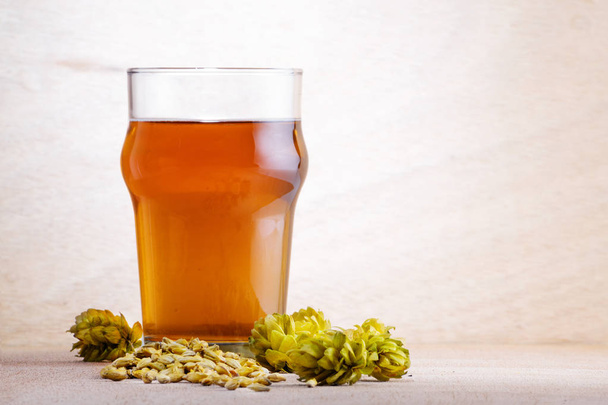 Μπύρα σε ένα ποτήρι με κριθάρι και λυκίσκο σε ανοιχτόχρωμο ξύλινο φόντο - Φωτογραφία, εικόνα