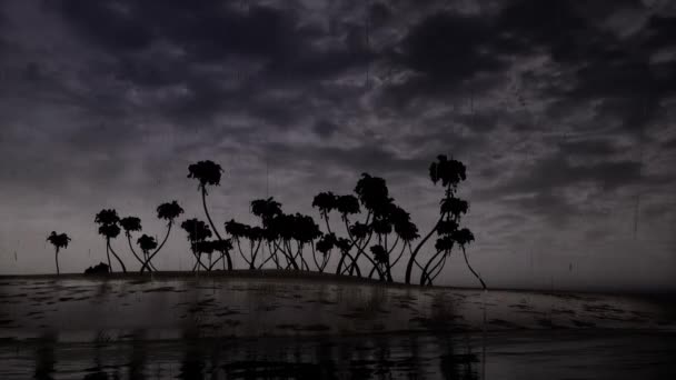 嵐ヤシの木の海 - 映像、動画