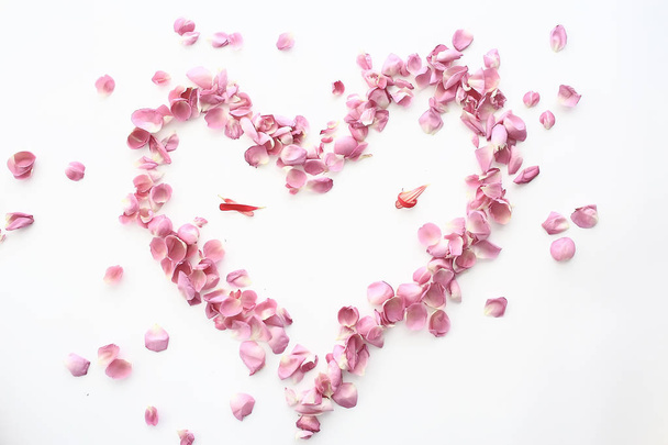 heart rose petals / pink roses, heart-shaped frame petals, love concept - Fotoğraf, Görsel