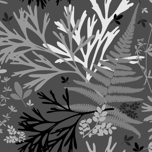Plantilla. Herbario con flores silvestres, ramas, hojas. Fondo botánico monocromo
 - Foto, imagen