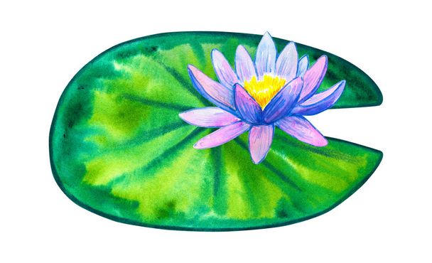 Blauw roze waterlelie op groen blad. Hand getekende aquarel illustratie. Geïsoleerd op witte achtergrond. - Foto, afbeelding