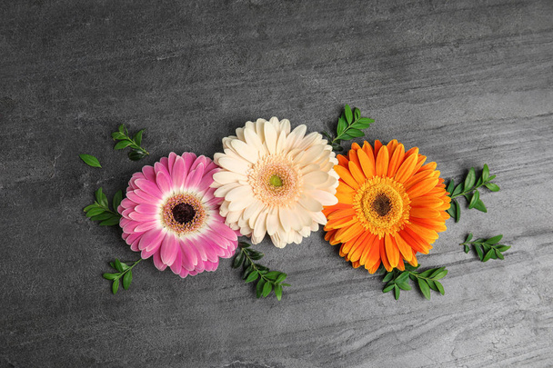 Flat lay composition with beautiful bright gerbera flowers on grey background, top view - Fotoğraf, Görsel