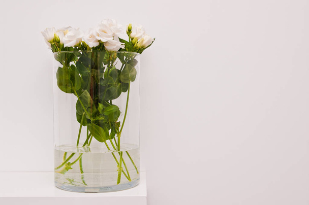 Flores de eustoma branco em vidro sobre fundo branco
 - Foto, Imagem