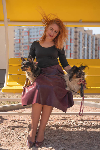pretty happy redheaded woman with two little dogs on the yellow summer bench - Fotografie, Obrázek