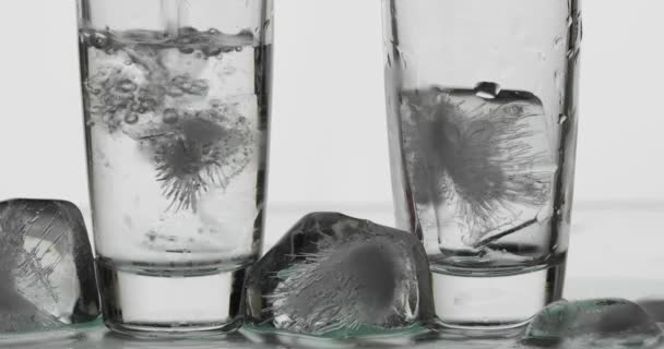 Giet twee shot wodka van een fles in glas. Witte achtergrond - Video