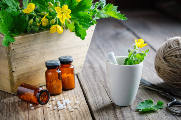 Bottles of homeopathic globules, wooden crate of Chelidonium majus plants and mortar of tetterwort. - 写真・画像