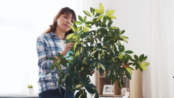 happy asian woman cleaning houseplant at home - Πλάνα, βίντεο