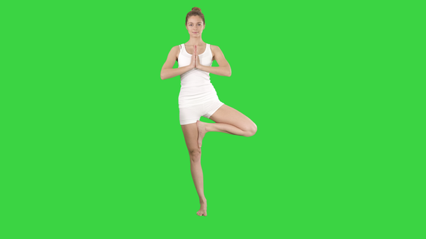 Fa jelent, állva az egyik lábát, kezében Namaste, az imádság gesztus a zöld képernyő, chroma key. - Felvétel, videó