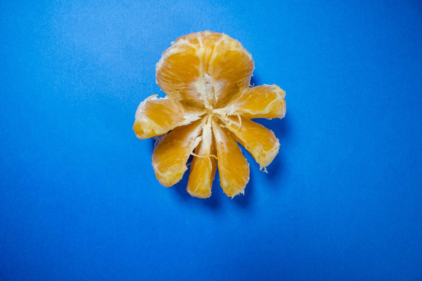 pulpo naranja sobre fondo azul
 - Foto, imagen