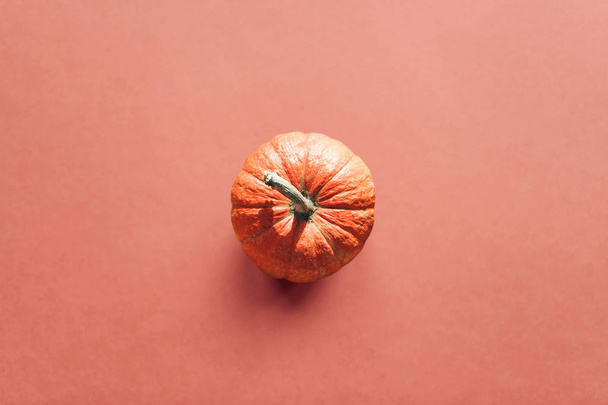 Pumpkin on a pink background. - Valokuva, kuva