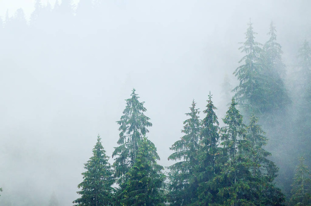 Misty mountain landscape - Zdjęcie, obraz