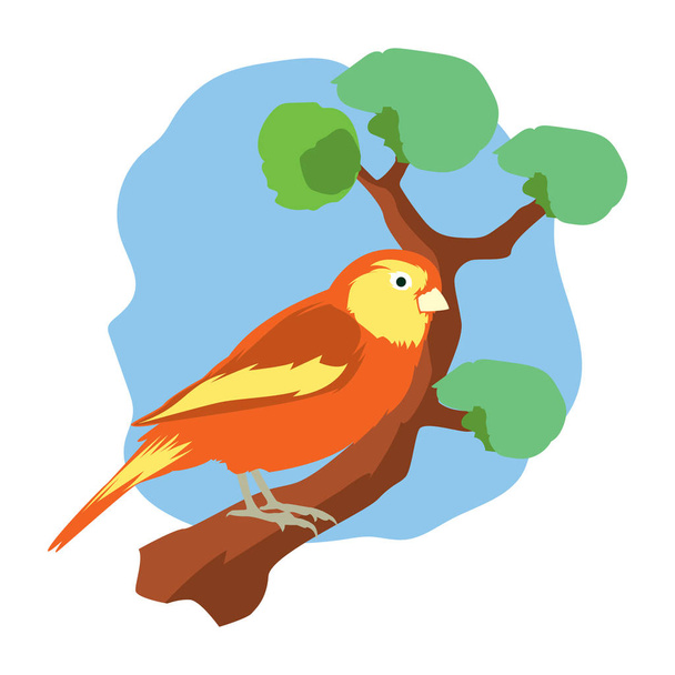 Arte de clipe de animal vetorial. Ilustração vetorial de um canário laranja empoleirado em um galho de árvore
 - Vetor, Imagem